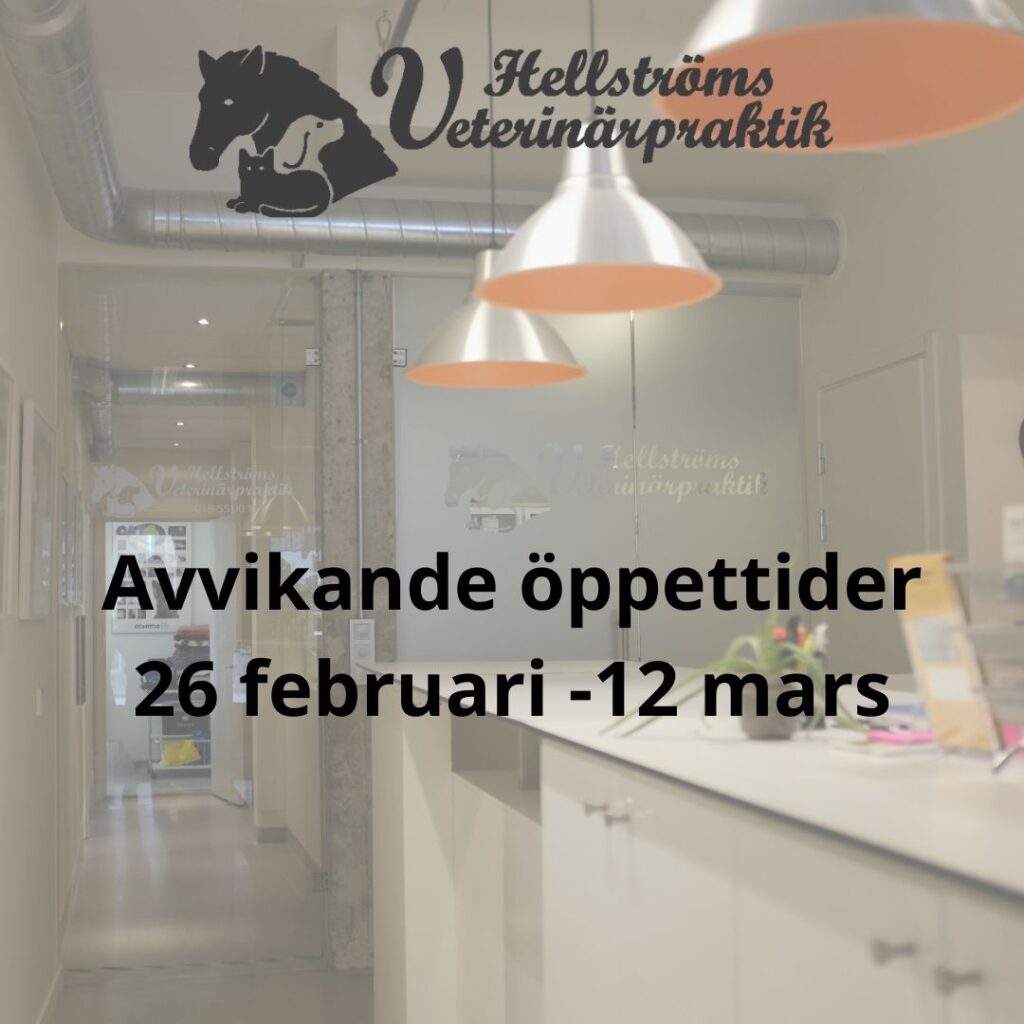 Instagram post from hellstroms_veterinarpraktik. This post is in position 0.