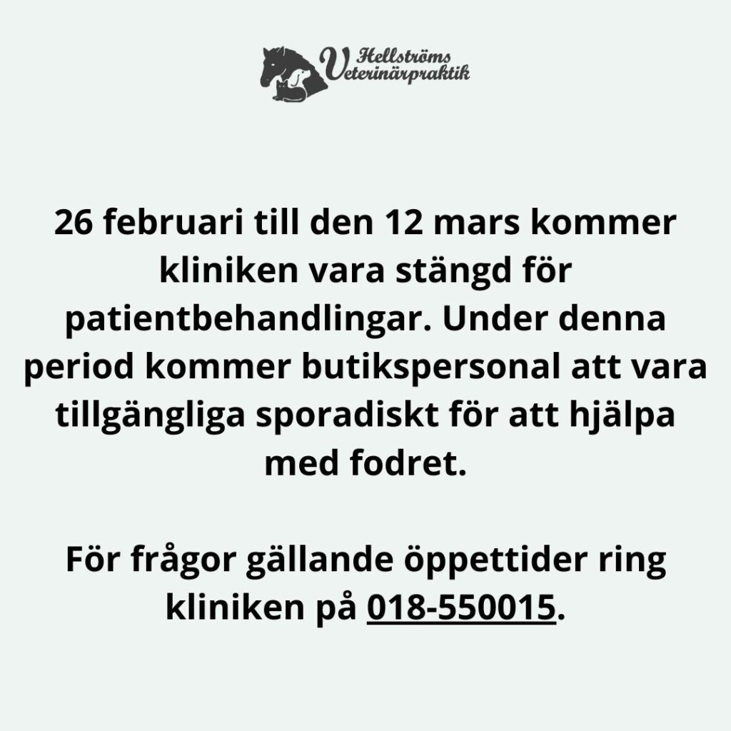 Instagram post from hellstroms_veterinarpraktik. This post is in position 1.